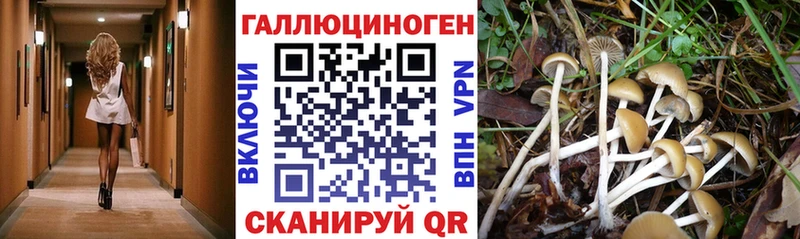 Купить  Елизово  Галлюциногенные грибы ЛСД 